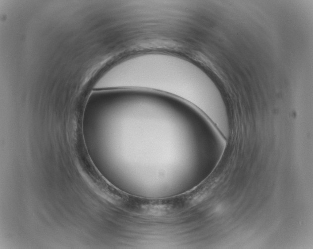 X0000066990448200603241024