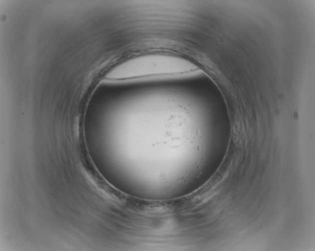 X0000066990454200603241024