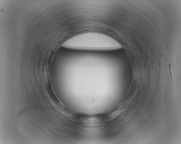 X0000066990460200603241024