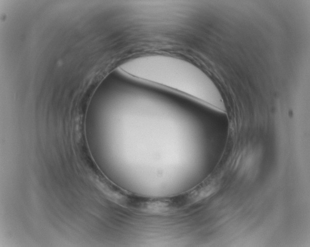 X0000066990462200603241024