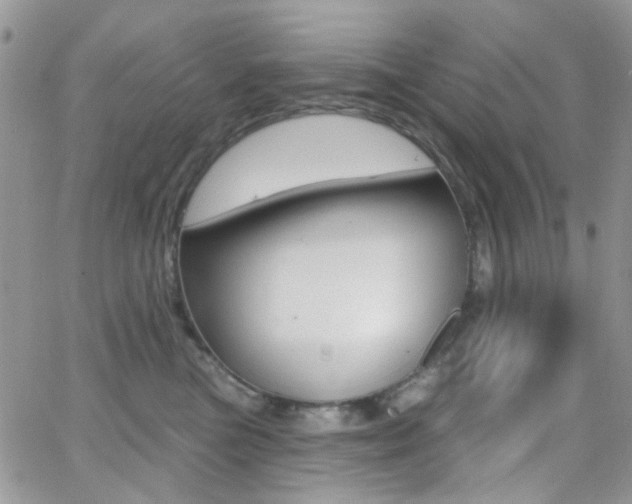 X0000066990473200603241025