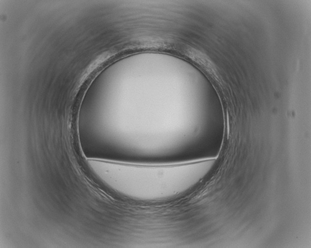 X0000066990483200603241024