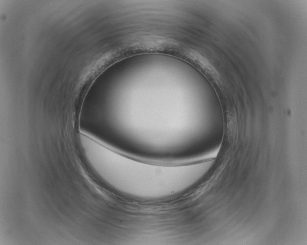 X0000066990493200603241024