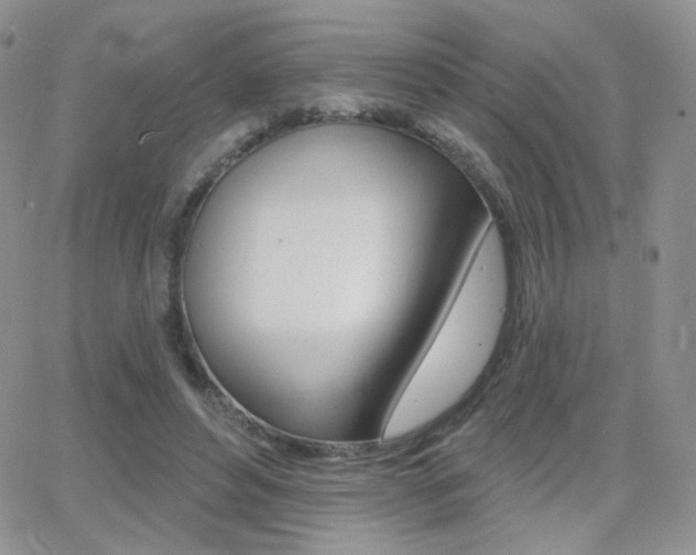 X0000066990496200603241024