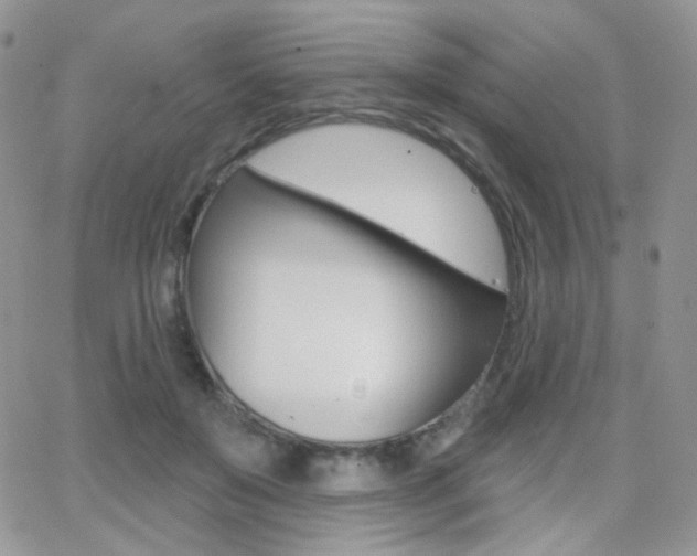 X0000066990503200603241024