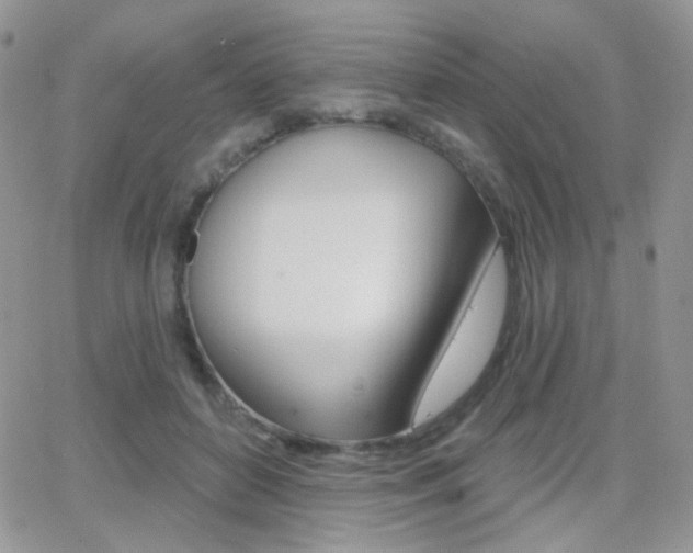 X0000066990504200603241024