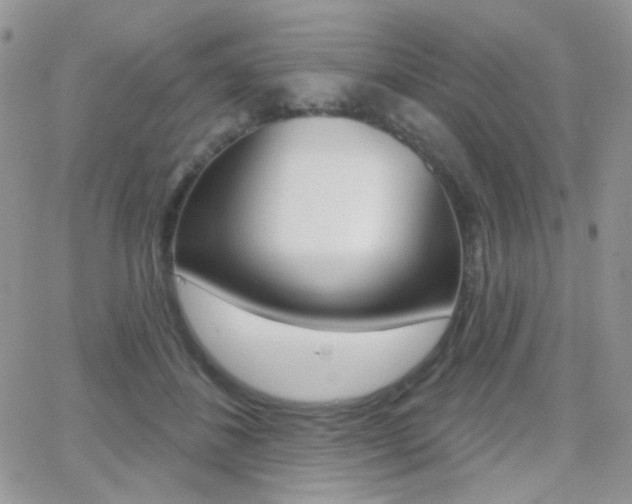 X0000066990508200603241024
