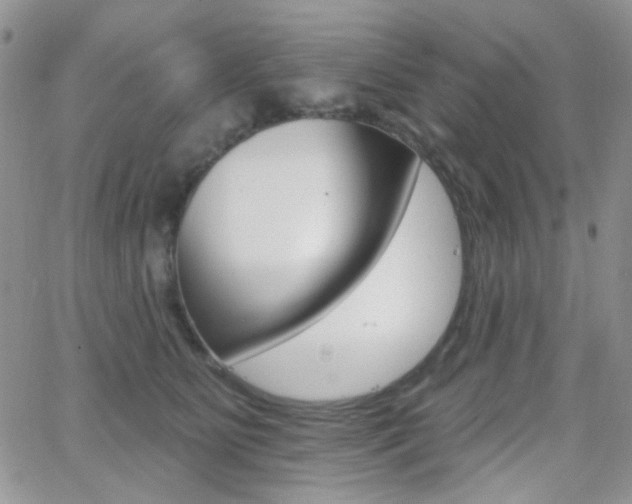 X0000066990515200603241023