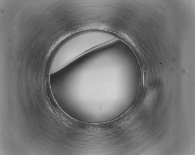 X0000066990531200603241022