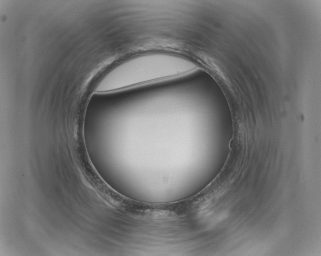 X0000066990539200603241023