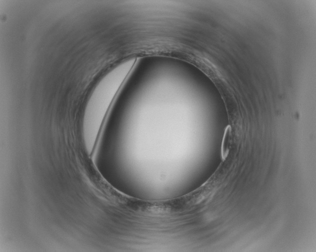 X0000066990546200603241023