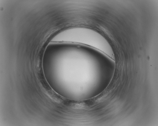 X0000066990548200603241023
