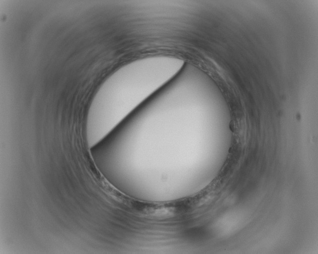 X0000066990553200603241023