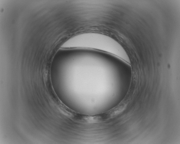 X0000066990558200603241023