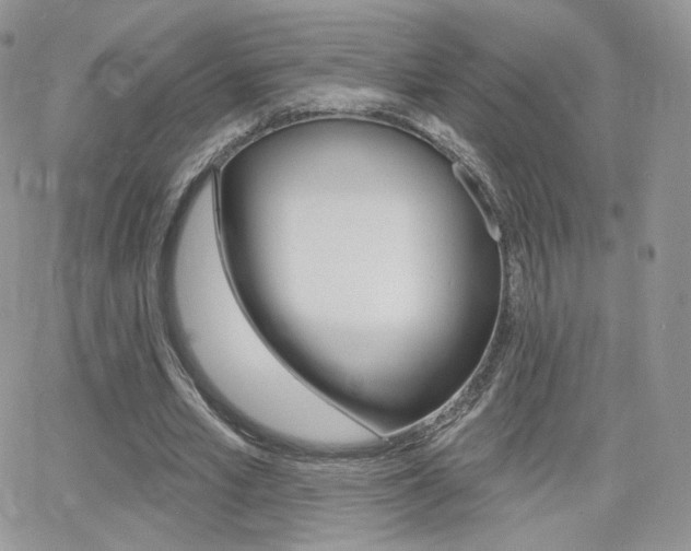 X0000066990581200603241022