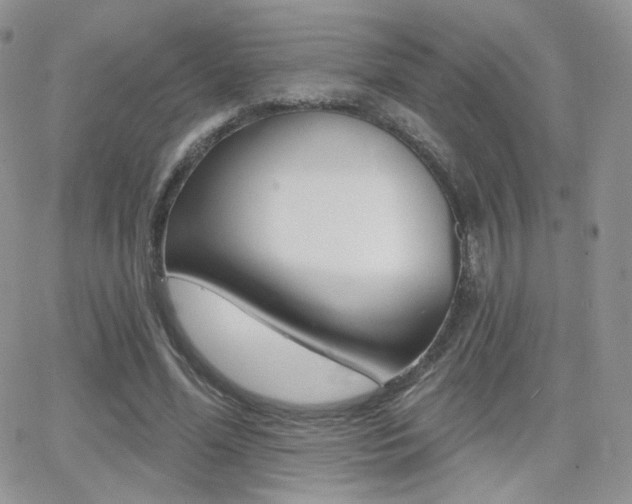 X0000066990588200603241022