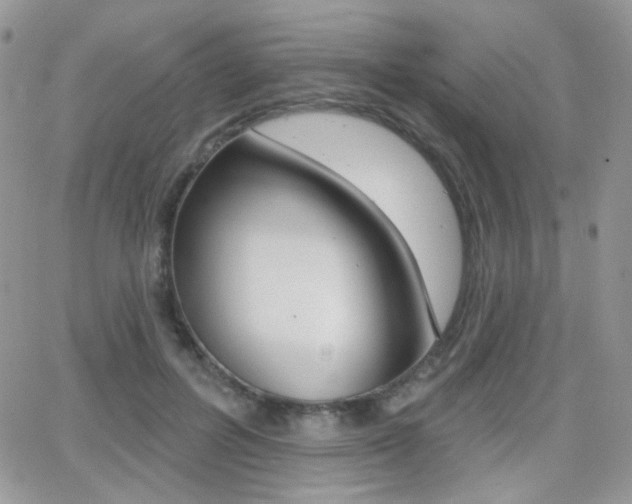 X0000066990600200603241022