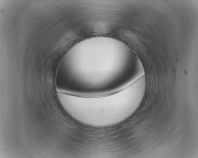 X0000066990608200603241022