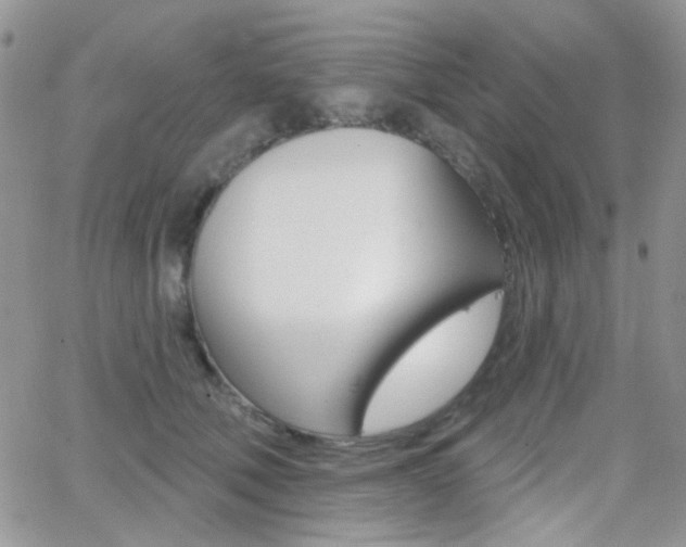 X0000066990610200603241022