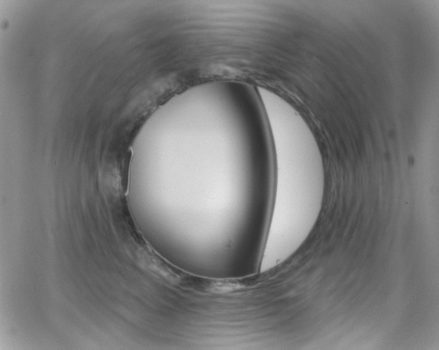 X0000066990617200603241022