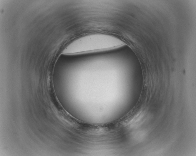 X0000066990646200603241021