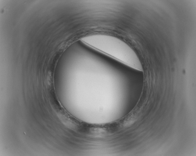 X0000066990649200603241021