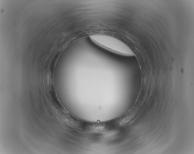 X0000066990651200603241021