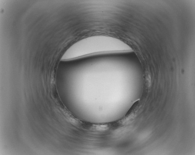 X0000066990665200603241022