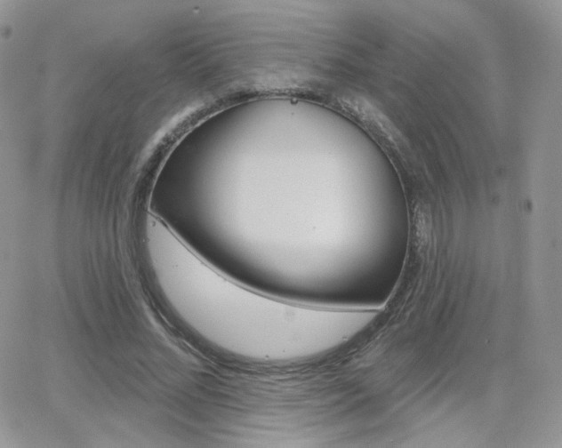 X0000066990684200603241021