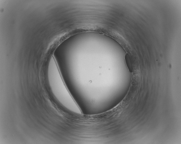 X0000066990688200603241021