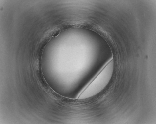 X0000066990689200603241021