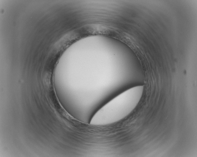 X0000066990695200603241020