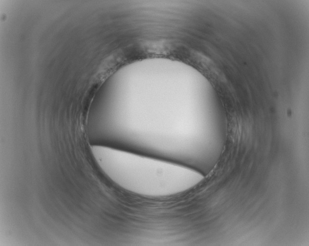 X0000066990707200603241020