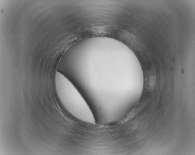X0000066990710200603241020