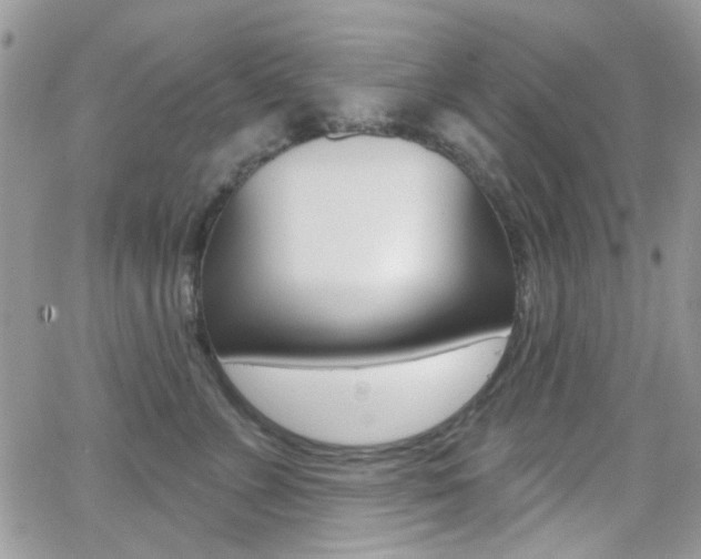 X0000066990715200603241020