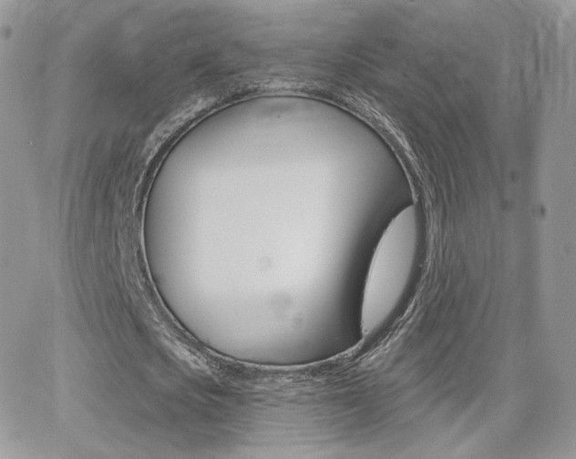 X0000066990721200603241019