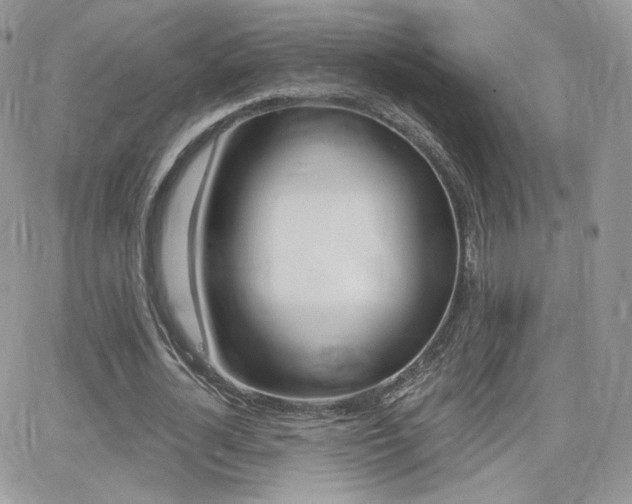 X0000066990724200603241019