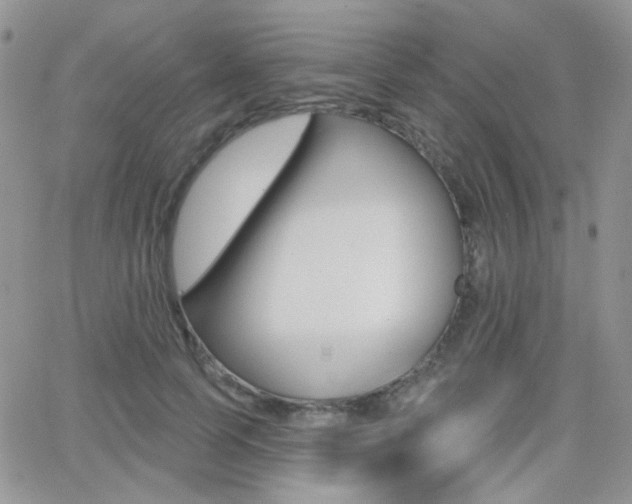 X0000066990745200603241020