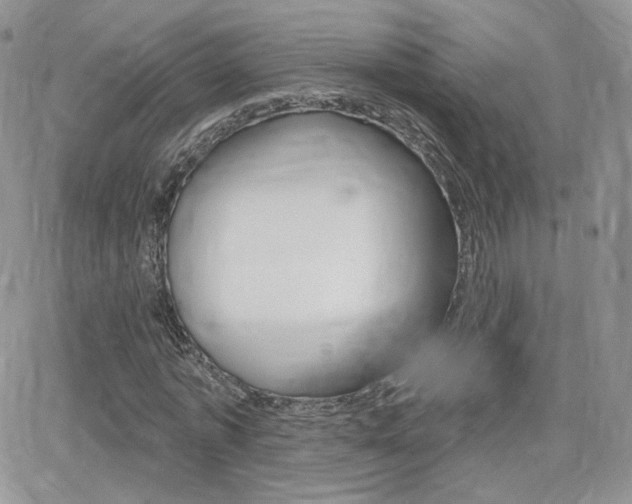 X0000066990773200603241019