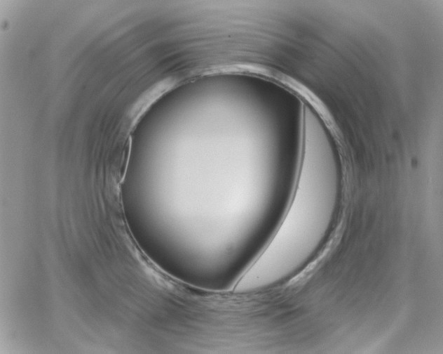 X0000066990809200603241019
