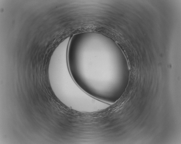 X0000066990818200603241018