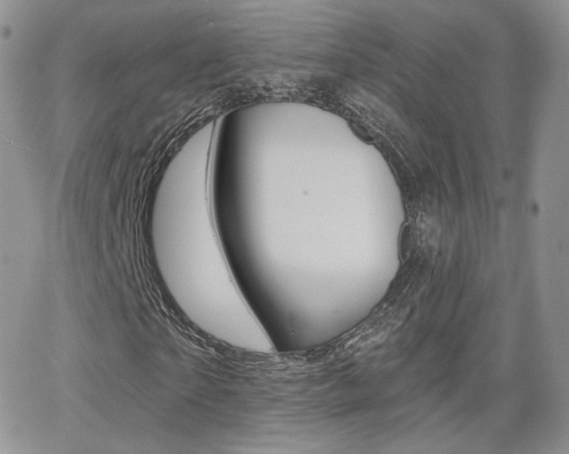 X0000066990865200603241018