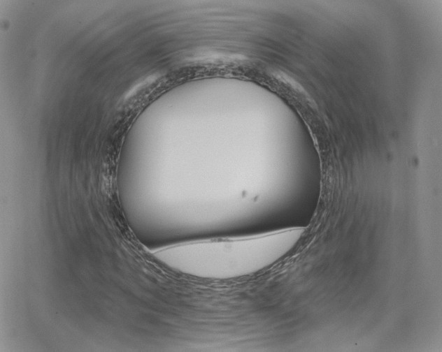 X0000066990869200603241018