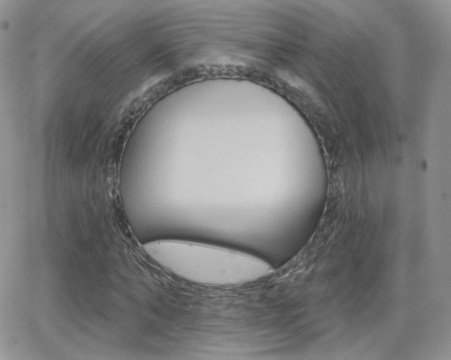 X0000066990870200603241018