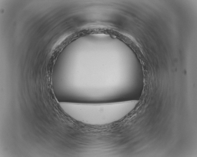 X0000066990871200603241018