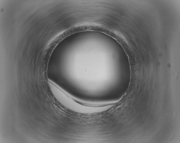 X0000066990872200603241018