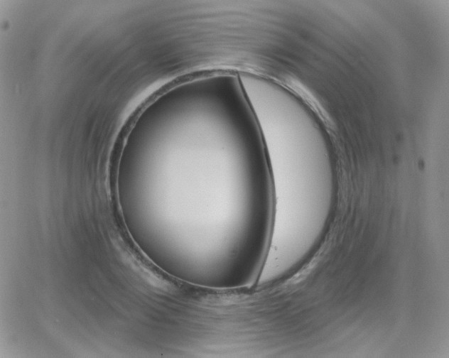 X0000066990884200603241017