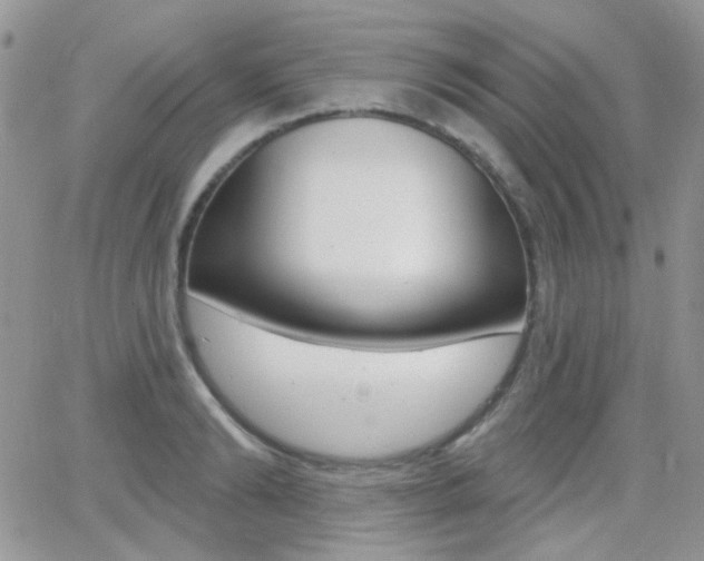 X0000066990894200603241017