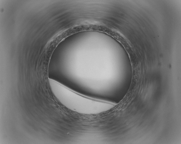 X0000066990919200603241016