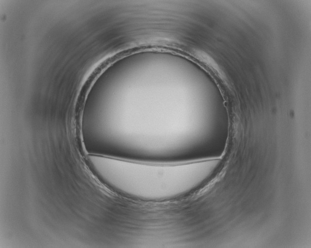 X0000066990924200603241016